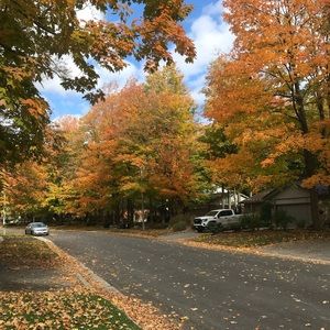 Meet your Posher, Madi